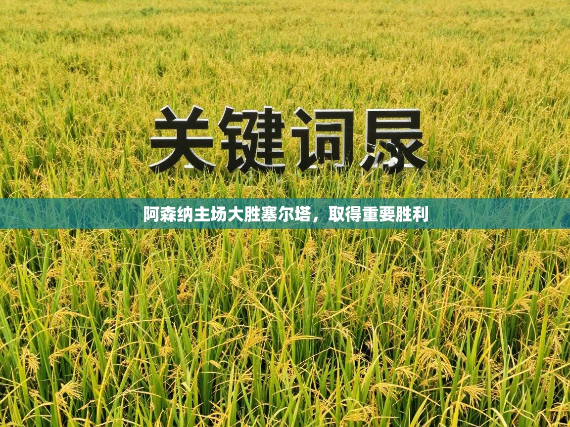 阿森纳主场大胜塞尔塔，取得重要胜利